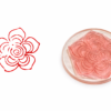 Rose Flower Mehndi Design Stamp | Reusable Henna Stencil Tool | Easy Mehndi Printing for Beginners & Professionals(HBF-05)