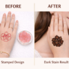 Rose Flower Mehndi Design Stamp | Reusable Henna Stencil Tool | Easy Mehndi Printing for Beginners & Professionals (HSF-03)